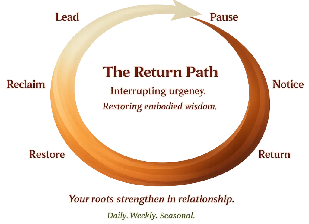 Circular Return Path™ framework diagram illustrating the ongoing process of reflection, restoration, and returning to oneself.